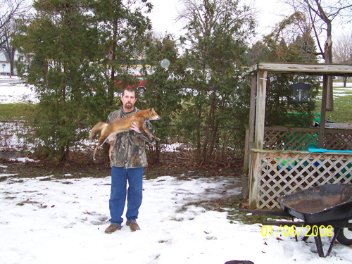 Jeremy Amthor from Michigan with a nice January Red Fox