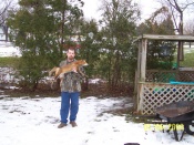Jeremy Amthor from Michigan with a nice January Red Fox