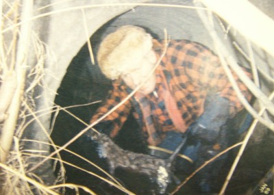 Jim Hale Mink