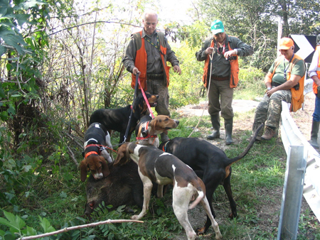 Another successful hunt by our friends in Italy