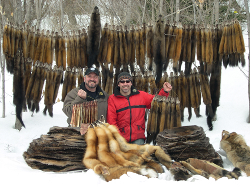Marc Laforce and Daniel Tremblay with a good quality catch of fur in Quebec