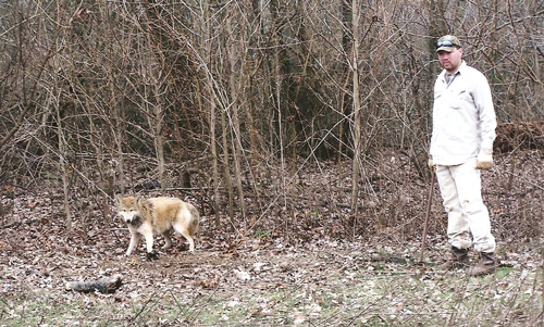 Cody Alphin with a coyote caught on a farm in Arkansas