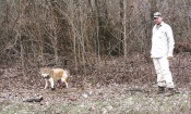 Cody Alphin with a coyote caught on a farm in Arkansas