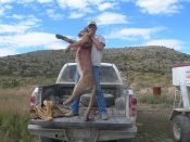 Texan, John Fehner, holding a nice mountain lion he trapped