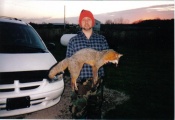 Dave holding on to a trapped grey fox