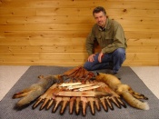 Northcountry with a nice assortment of critters