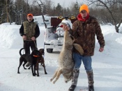 TJ Wilson holding a nice coyote and Rich Wilson holding back the Plott Hounds
