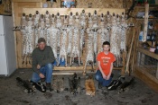 Some very nice South Dakota bobcat caught by Lee and his son Blake.