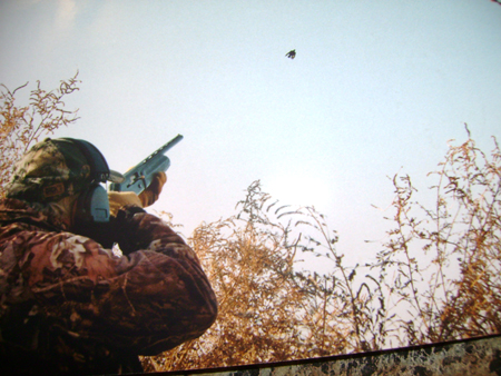 Bob Aronsohn taking aim on another crow.