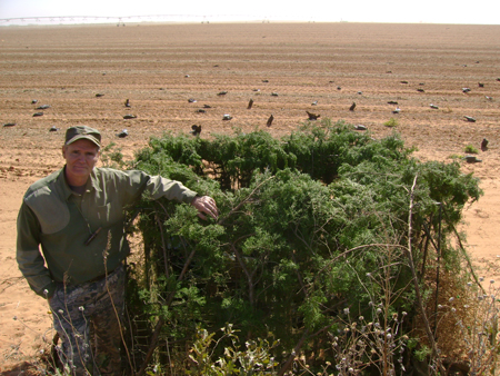 Bob Aronsohn is very well known for taking large numbers of crows.