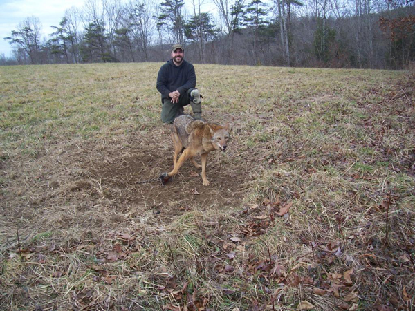 Brian Given in a nice shot with a Kentucky coyote