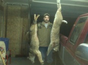Steve Panich had a nice double called in on the same stand