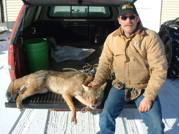 Jerry Hause with a fine Michigan coyote