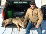 Jerry Hause with a fine Michigan coyote
