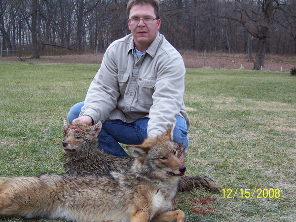 Here's a couple Indiana Coyote caught in 2008 by Rich Buker