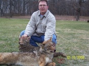 Here's a couple Indiana Coyote caught in 2008 by Rich Buker