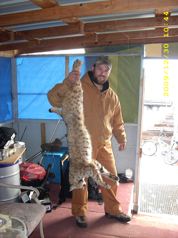 Raul Granado trapped this big bobcat in Santa Rosa, New Mexico
