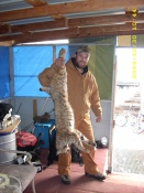 Raul Granado trapped this big bobcat in Santa Rosa, New Mexico