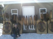 Here is a pic of Stephen  Ludwig from Pine Valley New York with his trap line  catches.