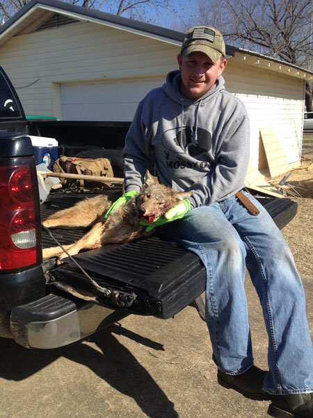 Landon Hetherington just started trapping and this is his first coyote