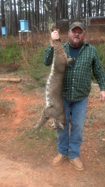 Tyron Kitchens from Georgia with a nice 30 lb male bobcat