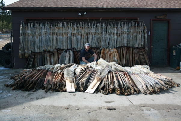 Lee Reuwsaat from South Dakota with another great season