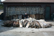 Lee Reuwsaat from South Dakota with another great season