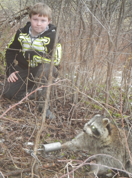 Owen Emery with his first coon with his dog proof traps his dad bought for his birthday