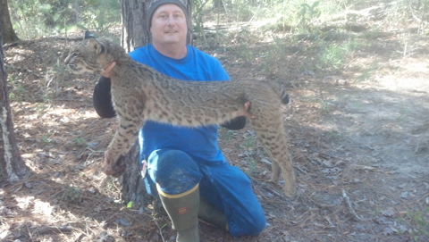 John Teller from East Texas with a nice bobcat