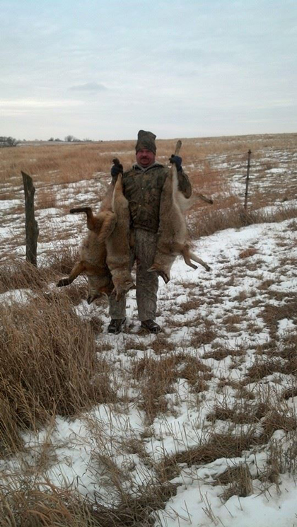 Gregory Copple from Miltonvale, KS with a few nice coyotes caught within a 1/4 mile of each other