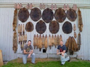 Brandon Woolley and Ryan Lejins from Michigan with their season of fur