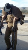 Texan, Brazos Peacock, with a great catch of a nice mountain lion