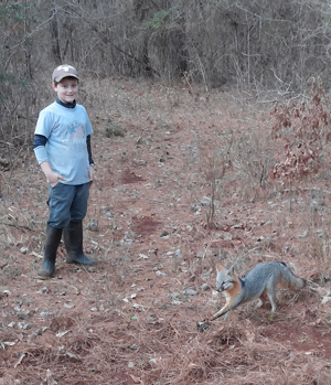 Joseph Harris with his first grey fox of the year in East Texas