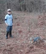 Joseph Harris with his first grey fox of the year in East Texas