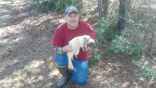 John Teller from Orange, TX with a great looking all white skunk