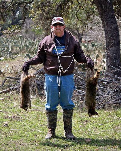 A couple of coons caught by Texan Robin Wheelus using FB1 Dog Proof Raccoon Traps