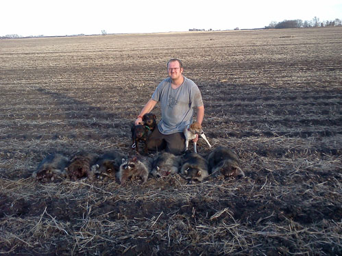 South Dakota's Scott Anderson and his hounds after a good night of hunting