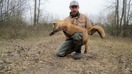 Mike Quinlan from New York with a nice red fox.