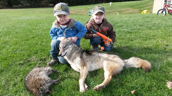 Parker and Peyton Conter with a coyote and coon caught with their dad in Ohio.