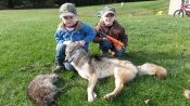 Parker and Peyton Conter with a coyote and coon caught with their dad in Ohio.