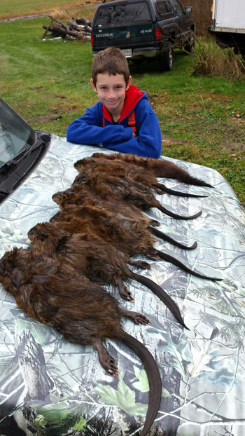 Wyatt Zepp with a nice catch of muskrats