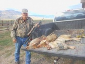 Don killed all three of these coyotes in Cody, Wyoming when they came in together during one stand.