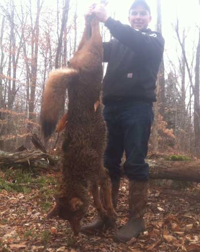 Marc Charbonneau from New York with a big Adirondack Mountain coyote
