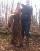 Marc Charbonneau from New York with a big Adirondack Mountain coyote