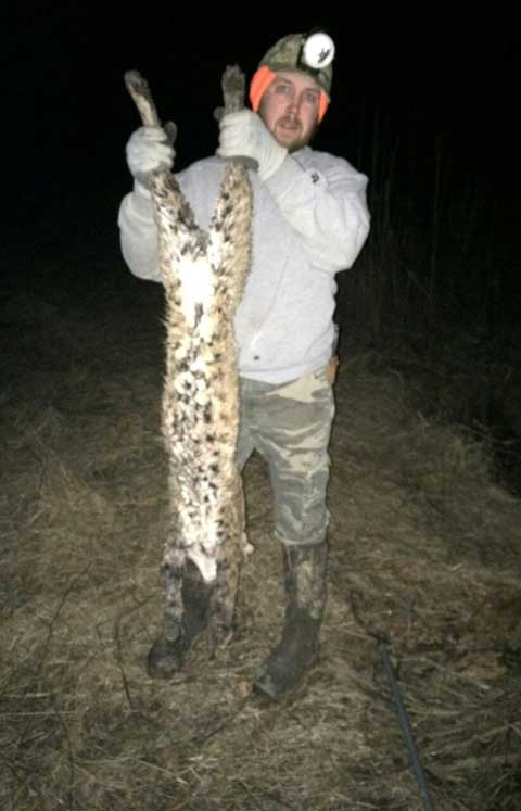 Brandan Edrington holding a nice Missouri bobcat