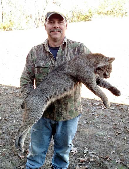 Robert Kearby caught this bobcat on a farm in Warm Springs, Arkansas