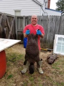 Two nice beavers caught by Gary Hudgins of Virginia using lure and foot hold traps