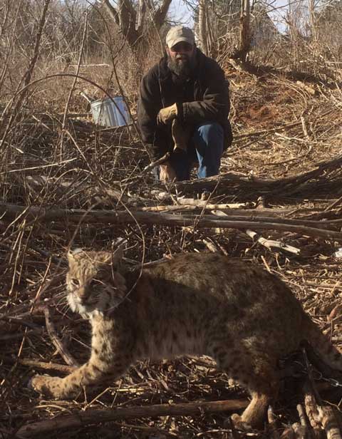 Dennis Junkins with a nice bobcat