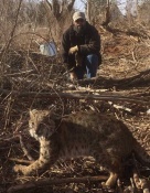 Dennis Junkins with a nice bobcat