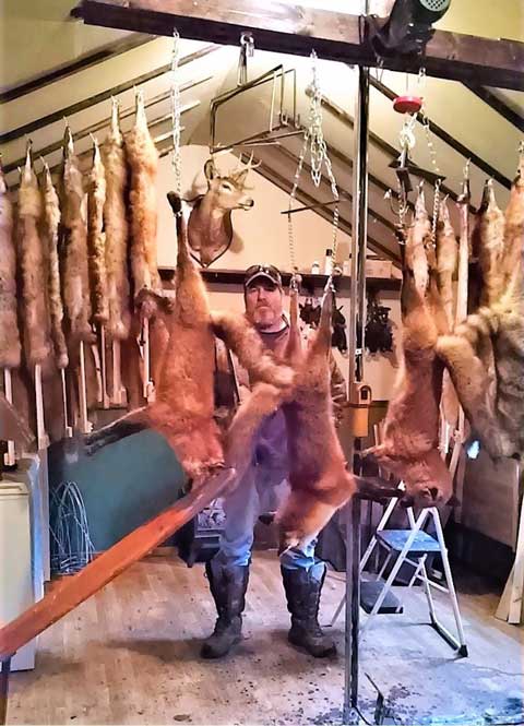 Dave Hallman with a great catch of critters in his Pennsylvania fur shed
